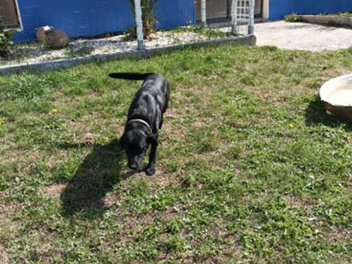 Image 03 de la galerie - D'Armor et d'Argoat