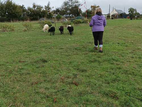 Image 04 de la galerie - D'Armor et d'Argoat