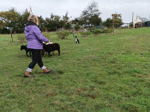 Image 05 de la galerie - D'Armor et d'Argoat