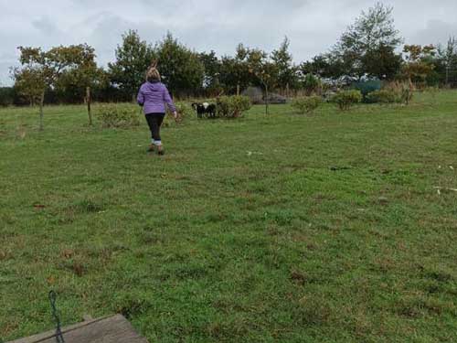 Image 06 de la galerie - D'Armor et d'Argoat