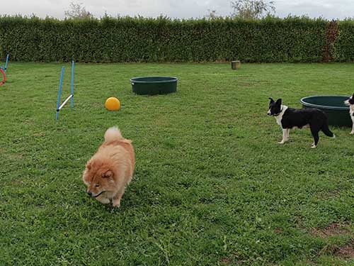 Image 07 de la galerie - D'Armor et d'Argoat