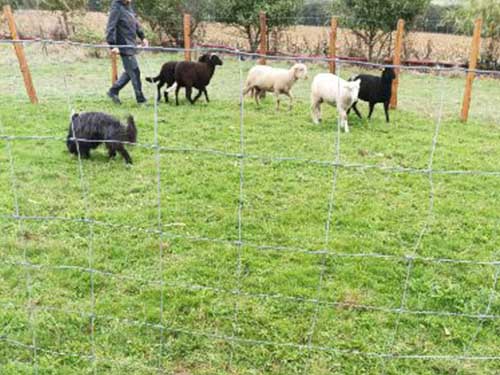 Image 08 de la galerie - D'Armor et d'Argoat