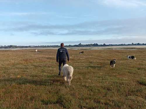 Image 09 de la galerie - D'Armor et d'Argoat