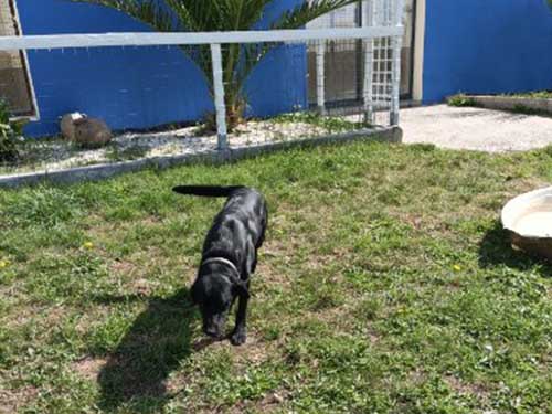 Image 10 de la galerie - D'Armor et d'Argoat