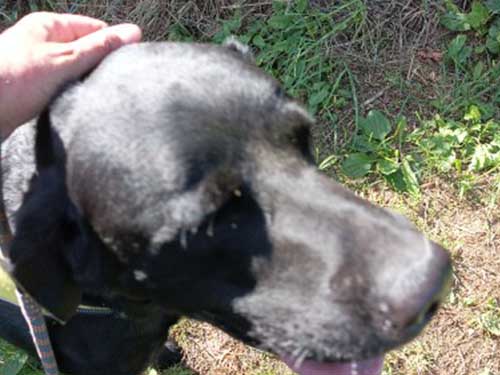 Image 11 de la galerie - D'Armor et d'Argoat