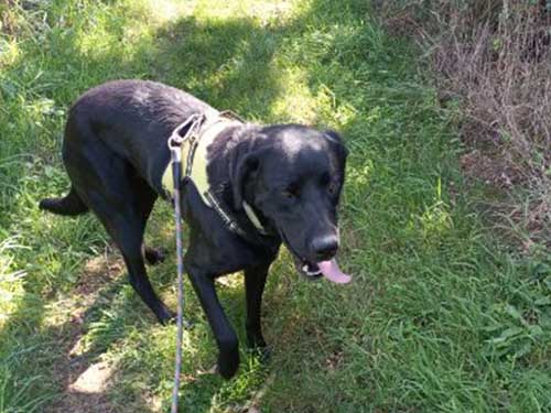 Image 12 de la galerie - D'Armor et d'Argoat