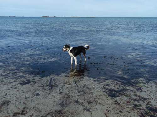 Image 13 de la galerie - D'Armor et d'Argoat