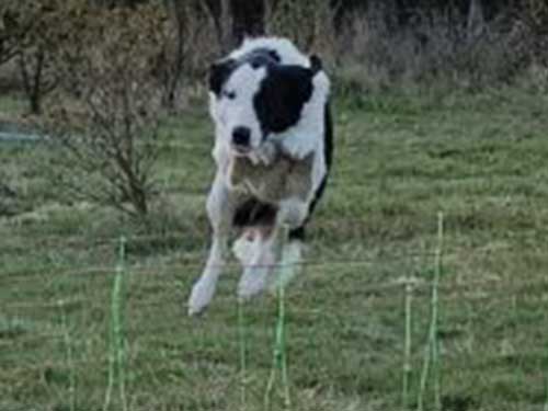 Image 14 de la galerie - D'Armor et d'Argoat