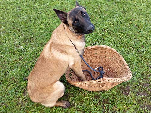 Image 16 de la galerie - D'Armor et d'Argoat