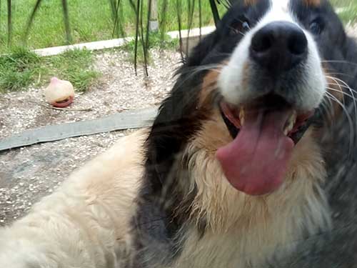 Image 17 de la galerie - D'Armor et d'Argoat