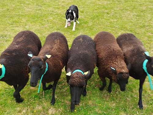 Image 18 de la galerie - D'Armor et d'Argoat