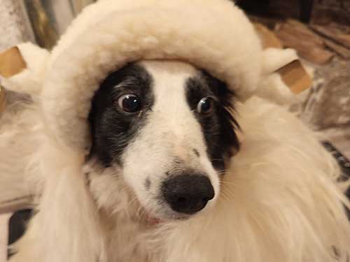 Image 19 de la galerie - D'Armor et d'Argoat