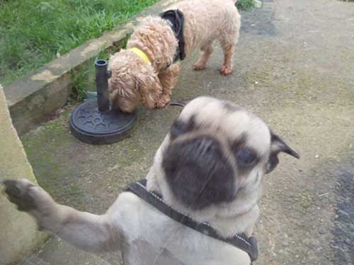 Image 20 de la galerie - D'Armor et d'Argoat