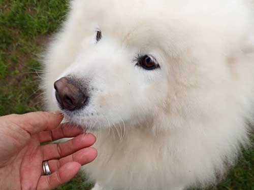 Image 21 de la galerie - D'Armor et d'Argoat