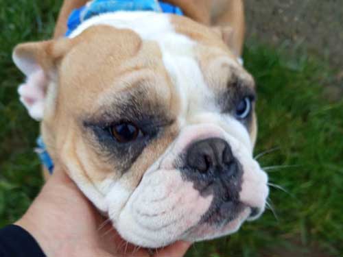 Image 22 de la galerie - D'Armor et d'Argoat