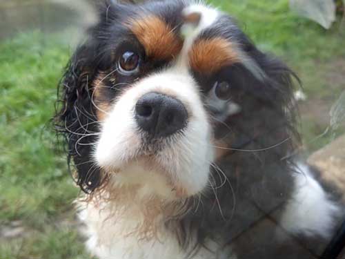 Image 24 de la galerie - D'Armor et d'Argoat