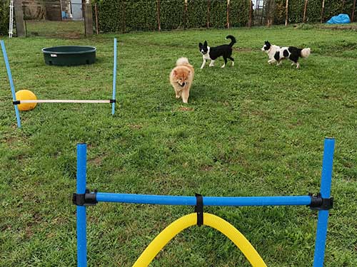 Image 25 de la galerie - D'Armor et d'Argoat