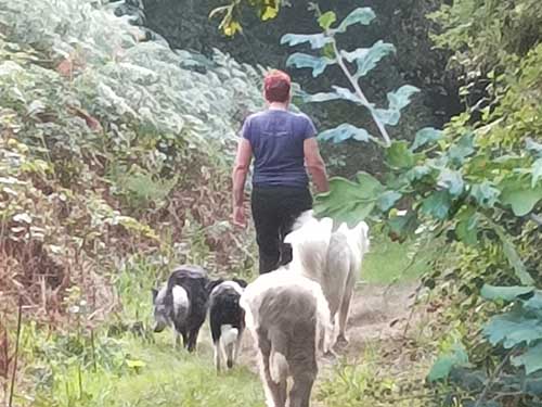 Image 26 de la galerie - D'Armor et d'Argoat