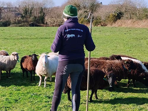 Image 29 de la galerie - D'Armor et d'Argoat