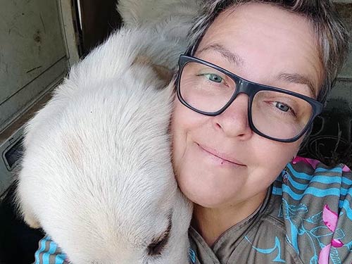 Image 30 de la galerie - D'Armor et d'Argoat