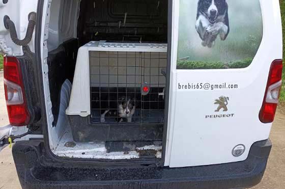 Arrière d'un fourgon